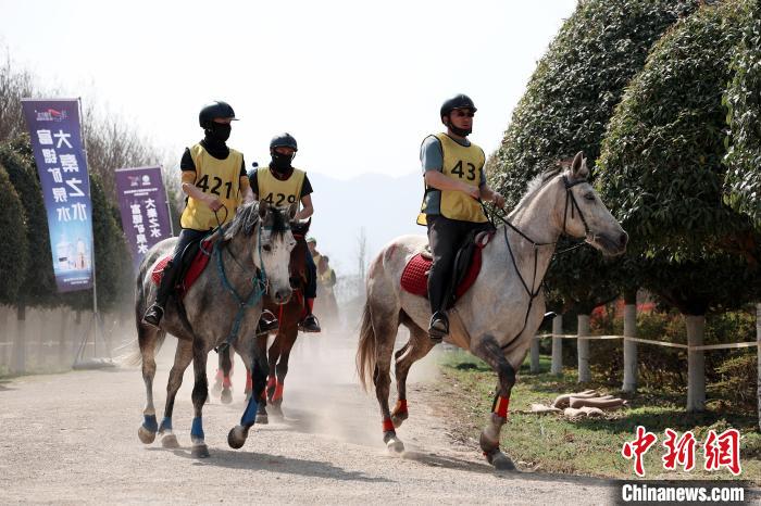 陕西西乡首次承办全国马术耐力赛 赛道与茶乡文